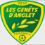 Club logo football club Anglet Genets Foot