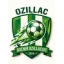Club logo football club Avenir Ozillacais Fc