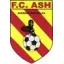 Logo du club de football Avesnes S/helpe Fc96 2