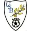Club logo football club Balan U.s.
