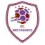 Logo du club de football Breviandes FC