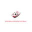 Logo du club de football Brienon