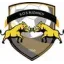 Logo du club de football Buzancy Sos 2