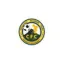 Logo du club de football Choungui F.c.