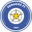 Logo du club de football Demange FC