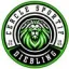 Logo du club de football Diebling Cs
