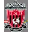 Logo du club de football Domessin U.s.