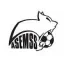 Logo du club de football Esves St Seno