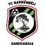 Logo du club de football FC Narikémbéli