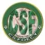 Logo du club de football Foecy Cs 2