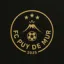 Logo du club de football Football Club Puy De