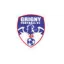 Logo du club de football Grigny Football 91