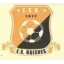 Logo du club de football Haisnes Es 2