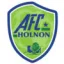 Logo du club de football Holnon Fayet Afc
