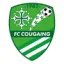Logo du club de football Le Cougaing 2
