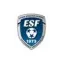 Logo du club de football ES Le Fœil