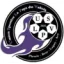 Club logo football club Le Pays Du Valois Us