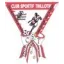 Logo du club de football Le Thillot Cs