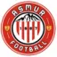 Club logo football club Mazeres Uzos Rontign