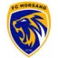Logo du club de football Morsang Sur Orge FC