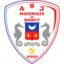 Logo du club de football Nancy Mahorais Asj