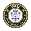 Club logo football club Pau Fc