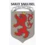 Logo du club de football Sailly Saillisel US 2