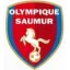 Club logo football club Saumur Ofc