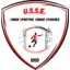 Logo du club de football Semur Epoisses 3