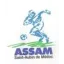 Clublogo voetbalvereniging St Aubin De Medoc As 2