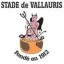 Club logo football club St. De Vallauris 2