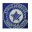Clublogo voetbalvereniging St Germain Lembron 3