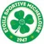 Logo du club de football St Michel Es