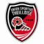 Logo du club de football Us Theilloise