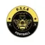 Club logo football club Usca Football