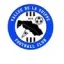 Logo du club de football Vallee De La Suippe
