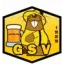 Logo du club de football Vezelise Gs 2