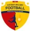 Logo du club de football Voltaire Chat. M. Ss 2