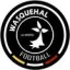 Club logo football club Wasquehal Football