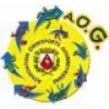 Club logo football club A. O. Gourbeyrienne