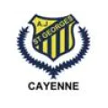 Logo du club de football A.j. St Georges