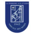 Logo du club de football Am La Ferriere