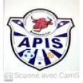 Club logo football club Apis Football
