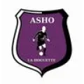 Logo du club de football As La Hoguette
