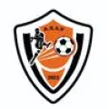Logo du club de football As5v