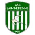 Logo du club de football Asc St Etienne
