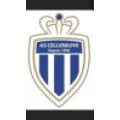 Logo du club de football A.s.celleneuve