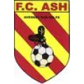 Logo du club de football Avesnes S/helpe Fc96
