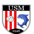Club logo football club Batie Montgascon