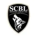Club logo football club Bedenac Laruscade Sc